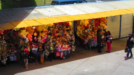 There is a street for everything in La Paz. This was Stuffed Animal Avenue.